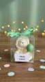 podziekowania lew bialy wstazka zielona balon zielony WS10270.webp