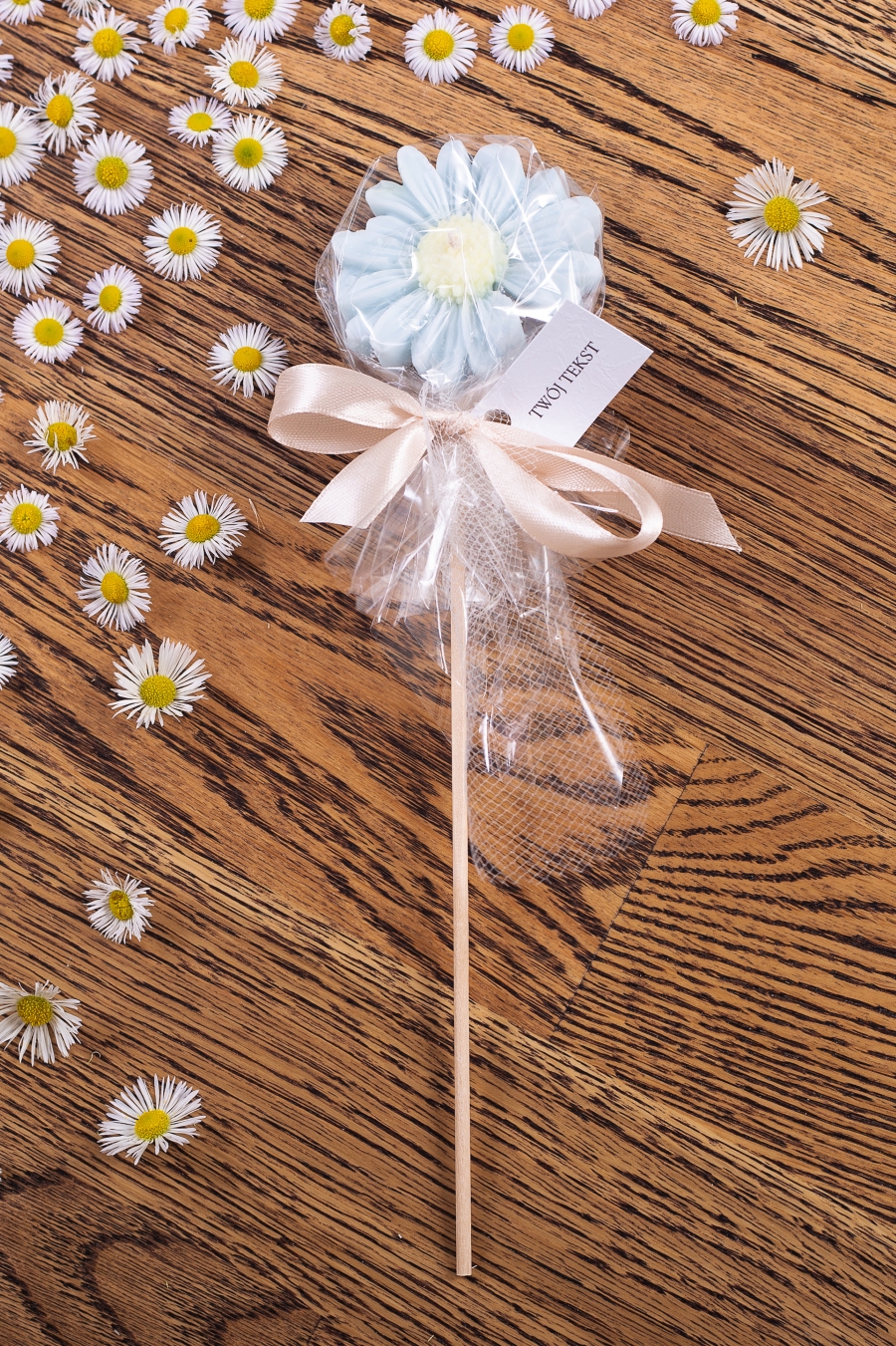 Stokrotka błękitna w celofanie, wstążka beżowa – WS10255