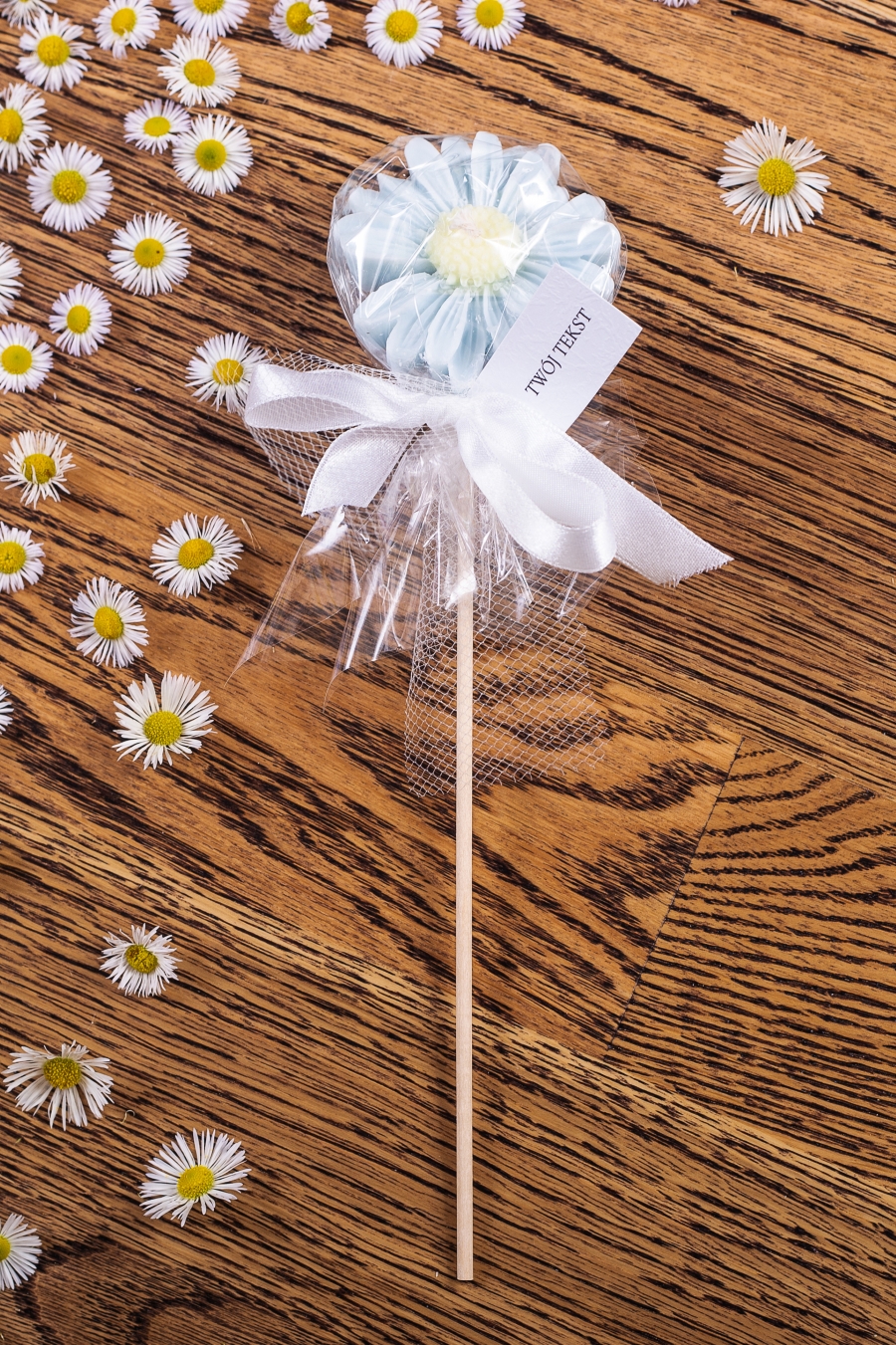 Stokrotka błękitna w celofanie, wstążka biała – WS10255 podziękowania dla gości