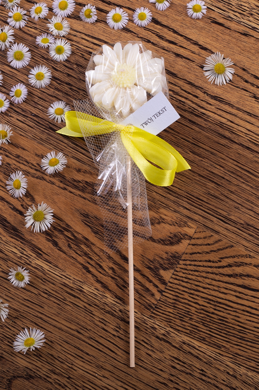 Stokrotka biała w celofanie, wstążka żółta – WS10183
