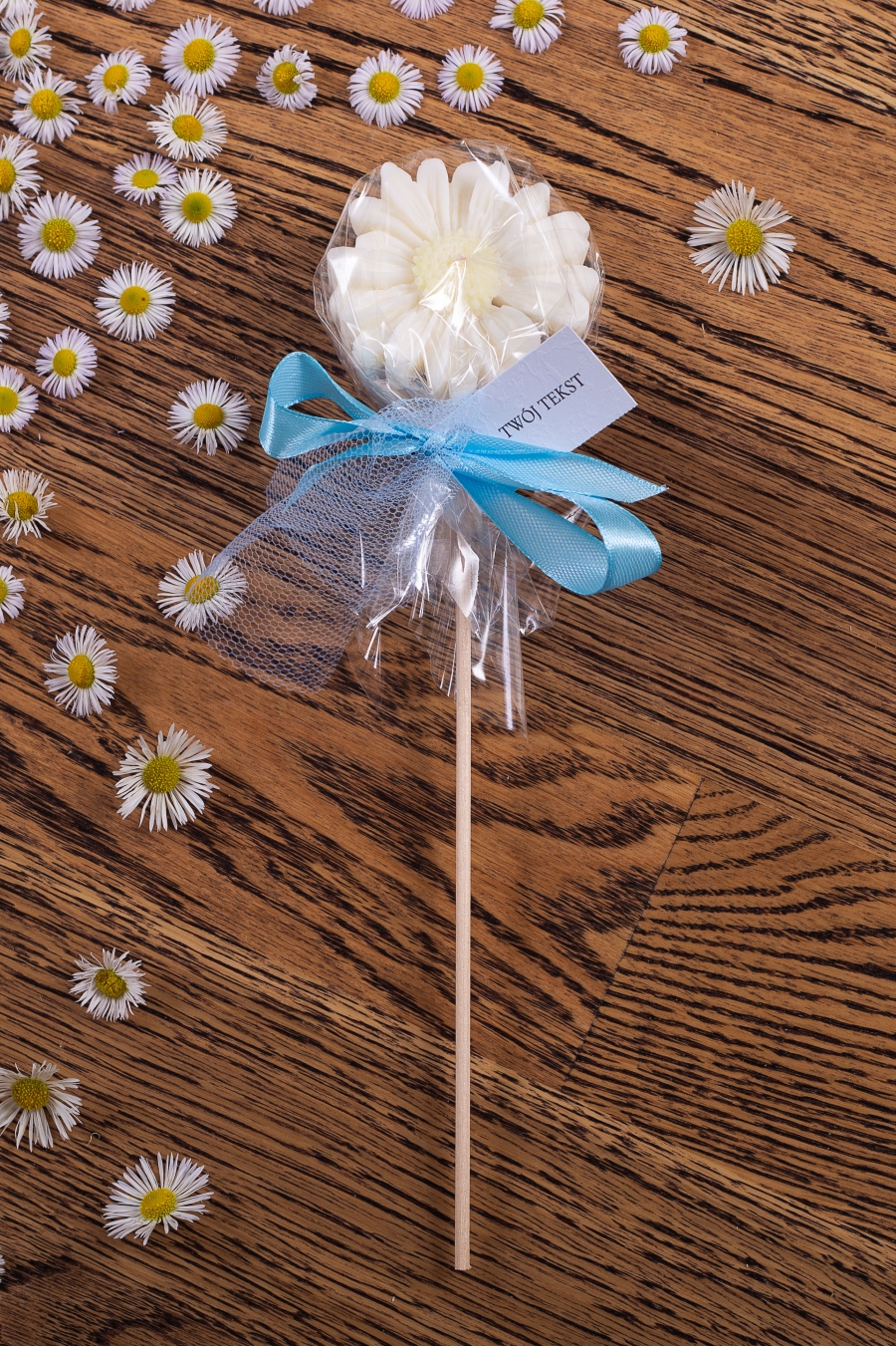 Stokrotka biała w celofanie, wstążka niebieska – WS10183