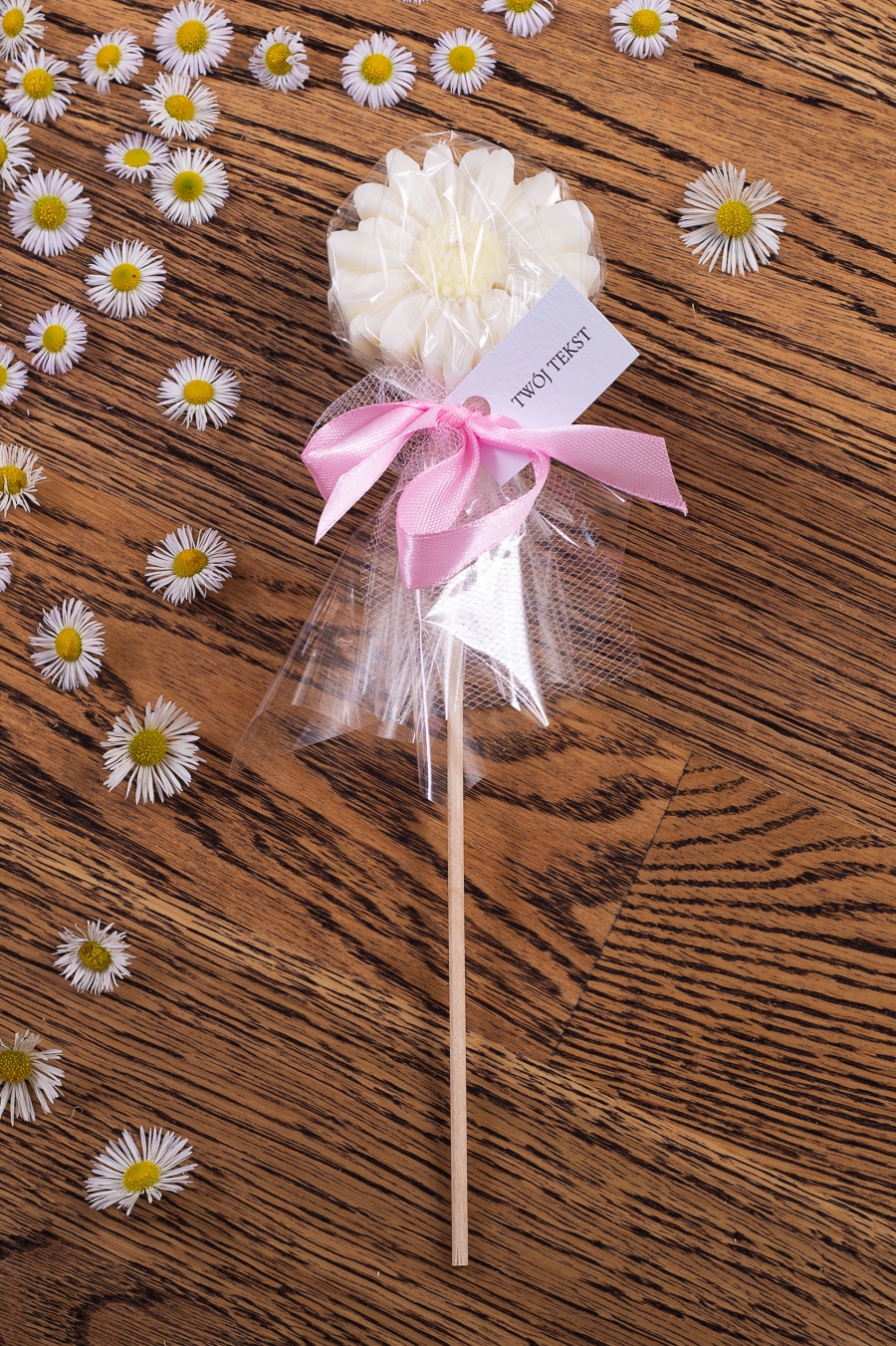 Stokrotka biała w celofanie, wstążka różowa – WS10183