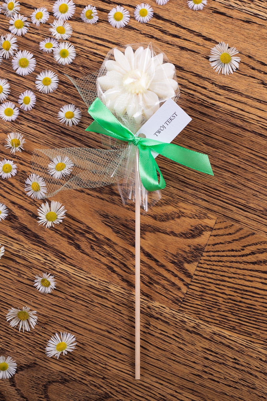 Stokrotka biała w celofanie, wstążka zielona – WS10183