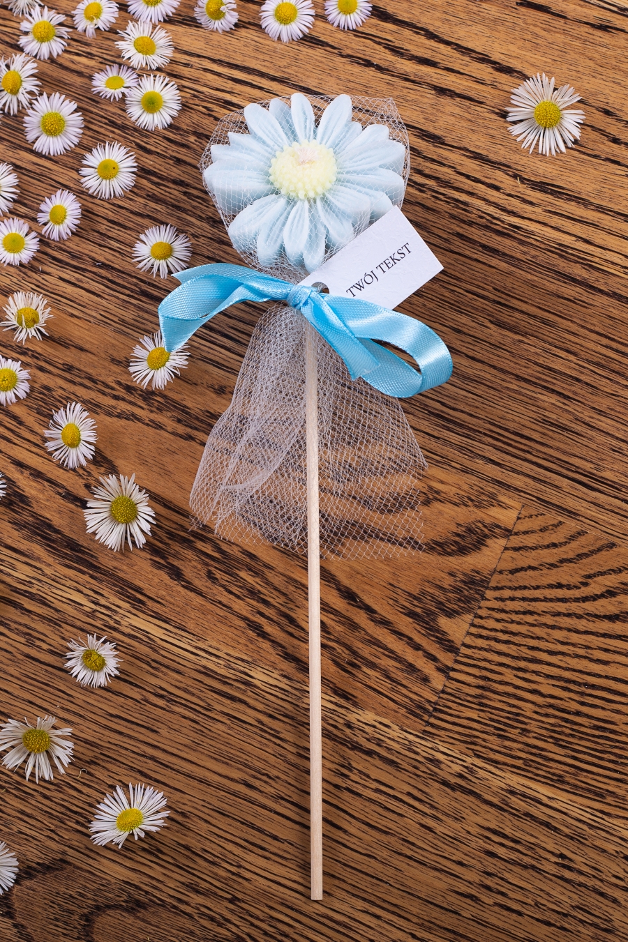 Stokrotka błękitna w tiulu, wstążka niebieska – WS10252