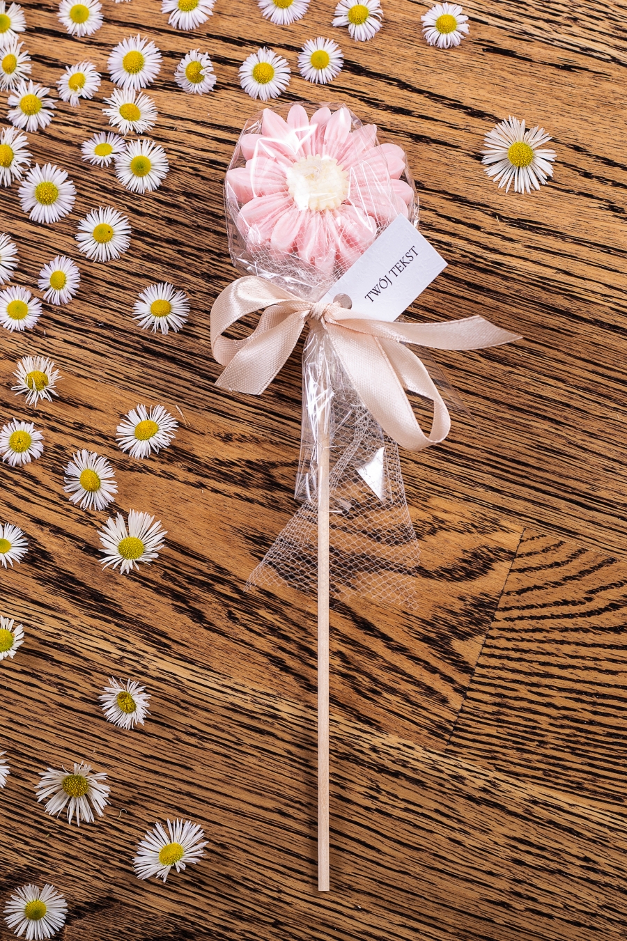 Stokrotka różowa w celofanie, wstążka beżowa – WS10256