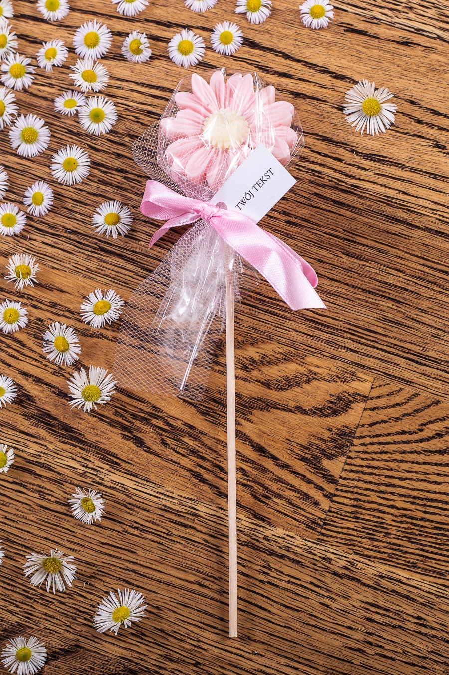 Stokrotka różowa w celofanie, wstążka różowa – WS10256