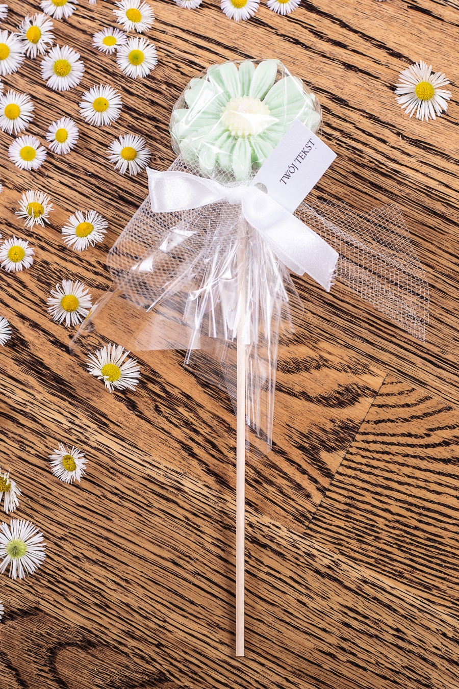 Stokrotka zielona w celofanie, wstążka biała – WS10257