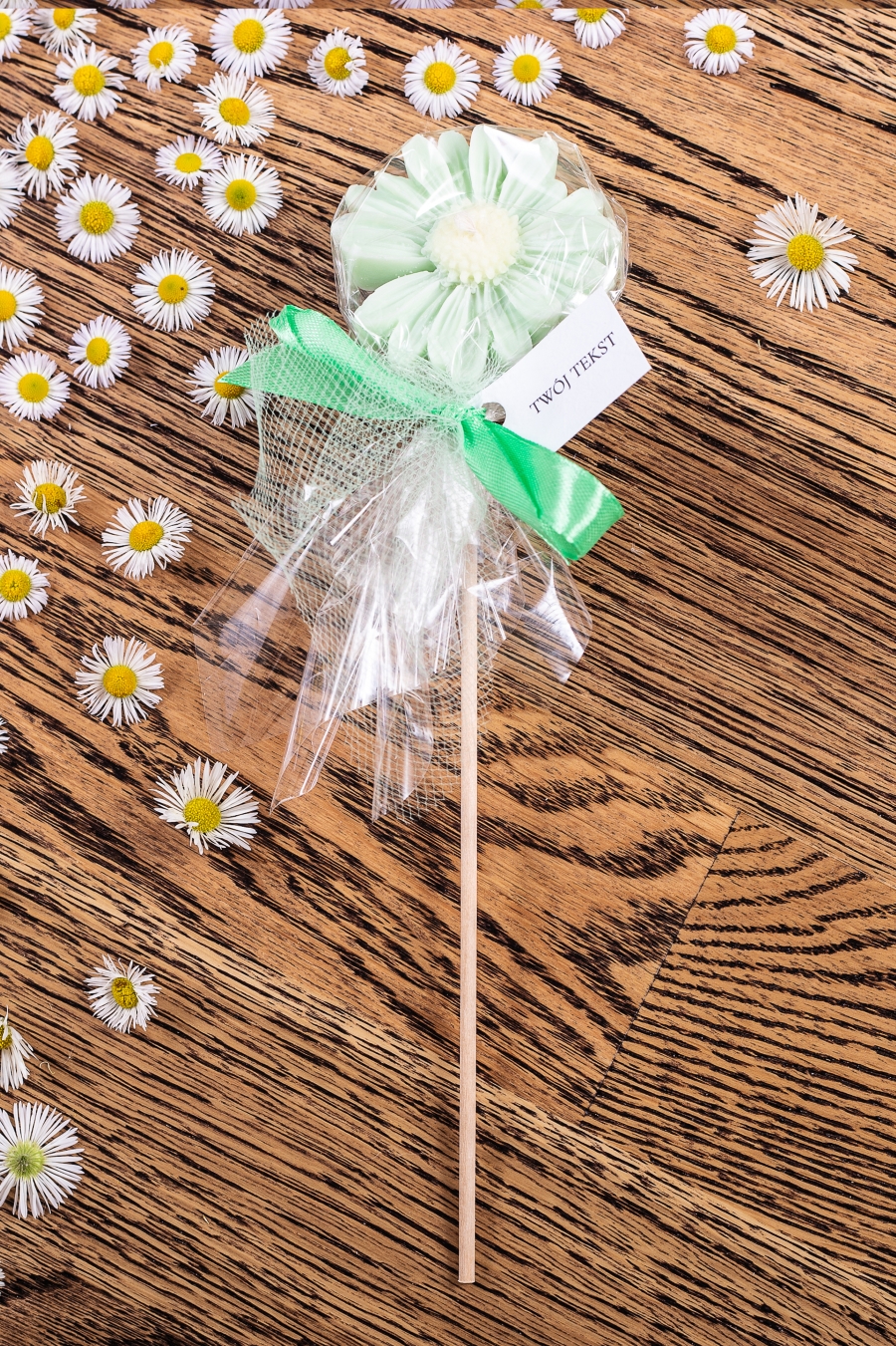 Stokrotka zielona w celofanie, wstążka zielona – WS10257