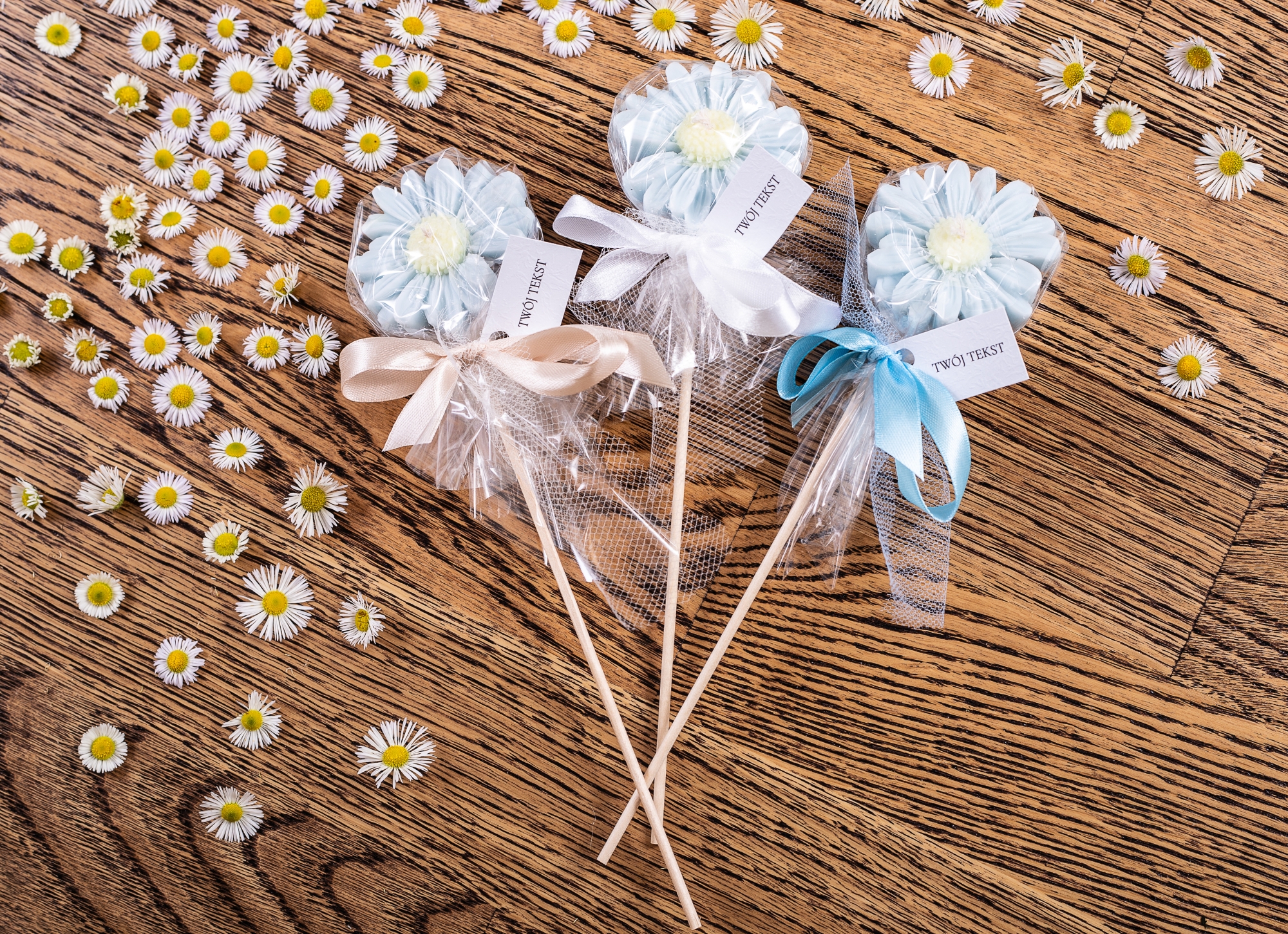 Stokrotki błękitne w celofanie komplet – WS10255