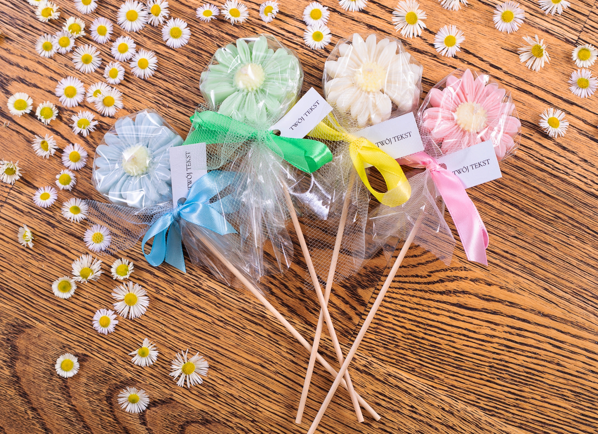 Stokrotki zestaw w celofanie