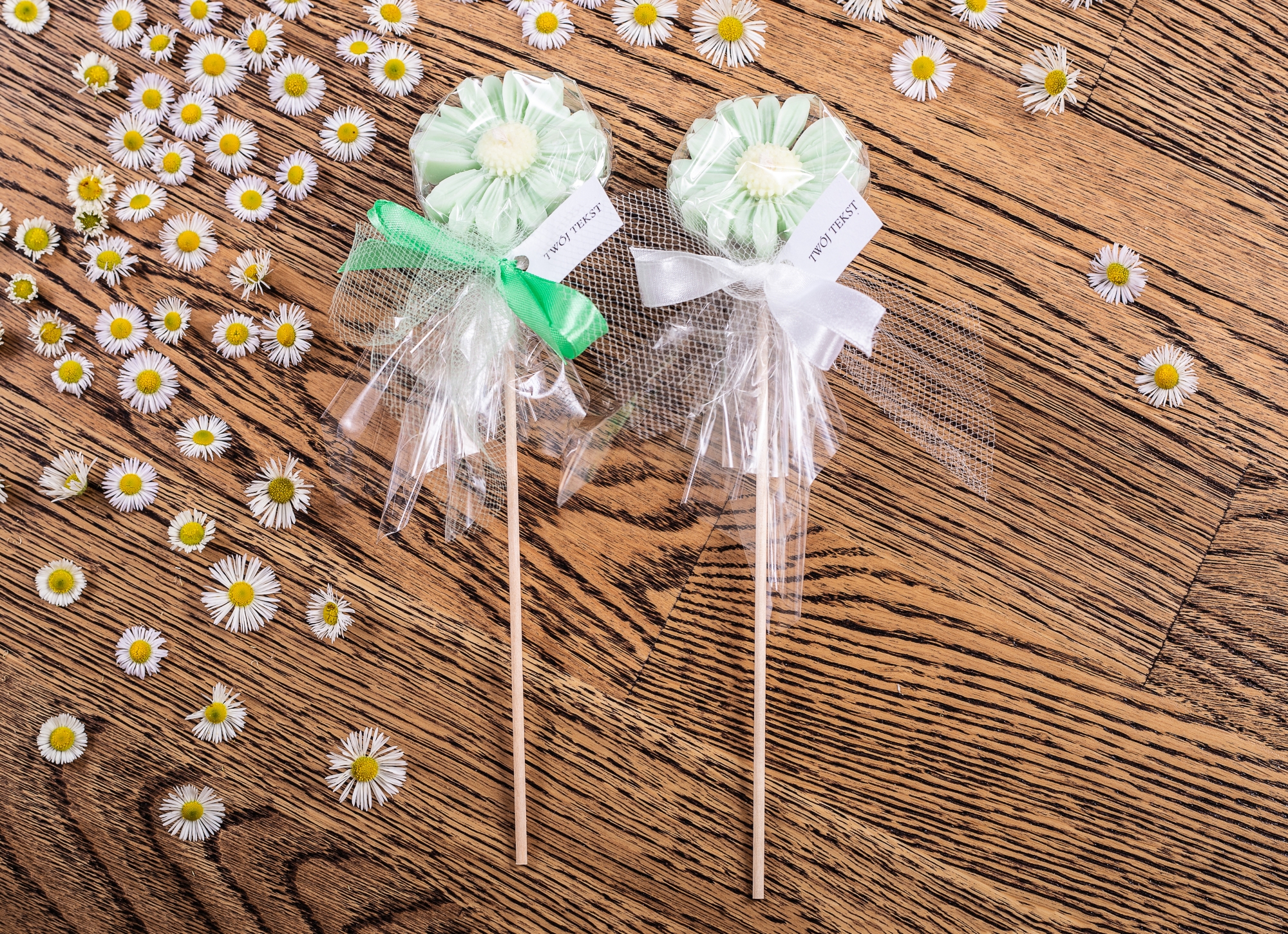 Stokrotki zielone w celofanie komplet – WS10257